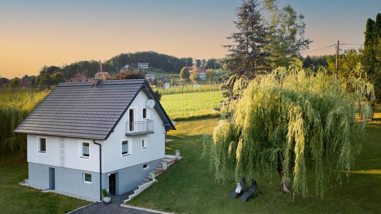 Ferienhaus Treissmann An Der Weinstrasse Leutschach Dış mekan fotoğraf