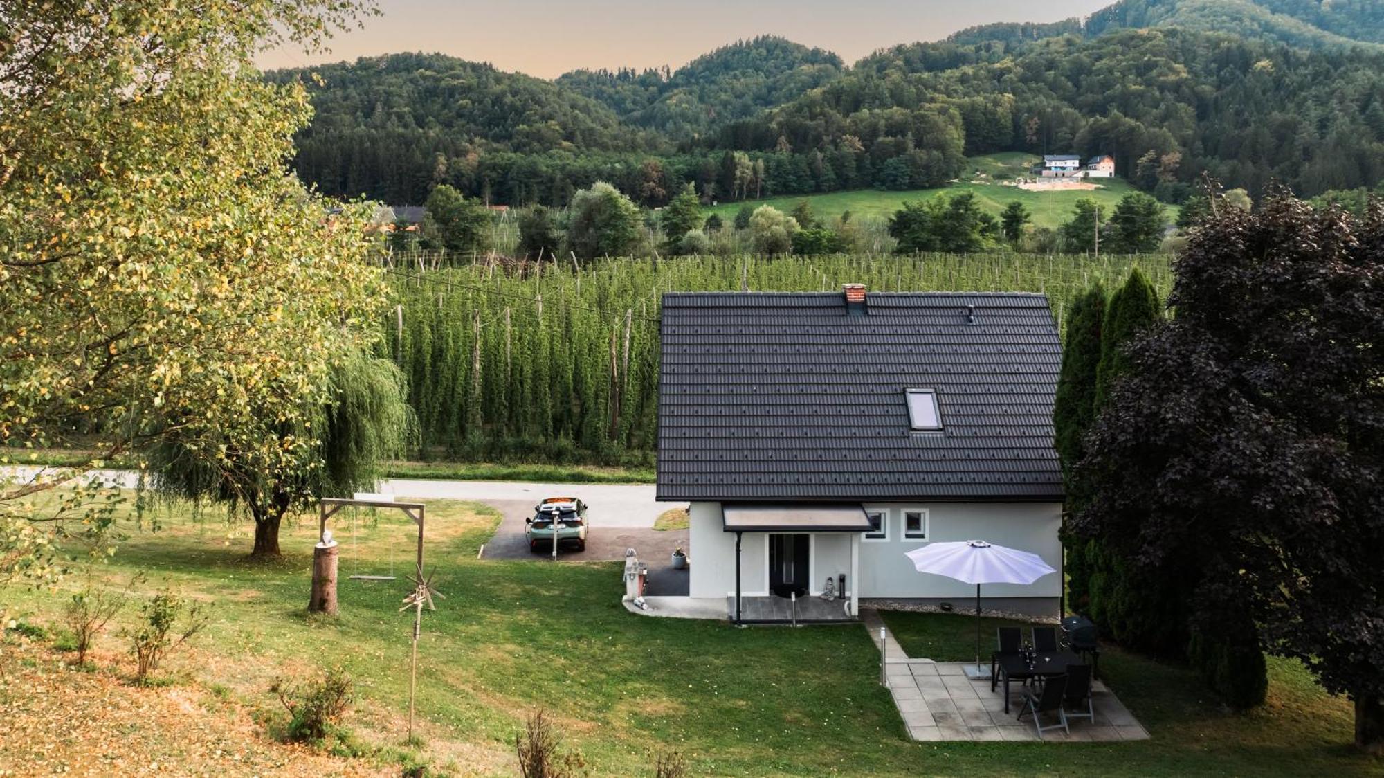 Ferienhaus Treissmann An Der Weinstrasse Leutschach Dış mekan fotoğraf
